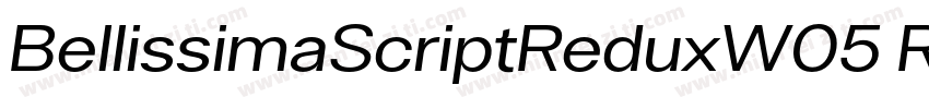 BellissimaScriptReduxW05 Rg字体转换